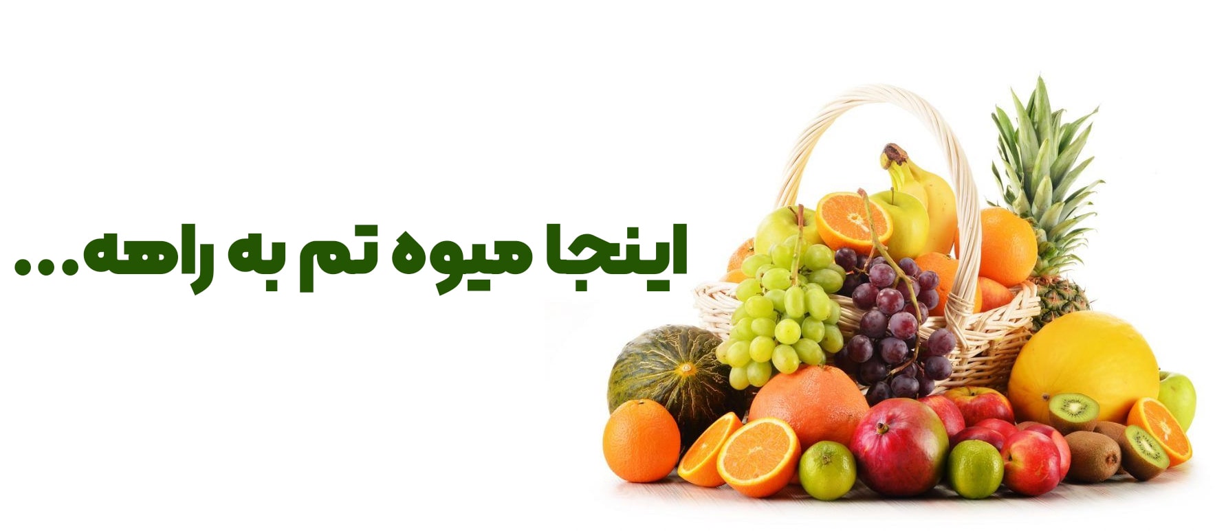 میوه1-(2)